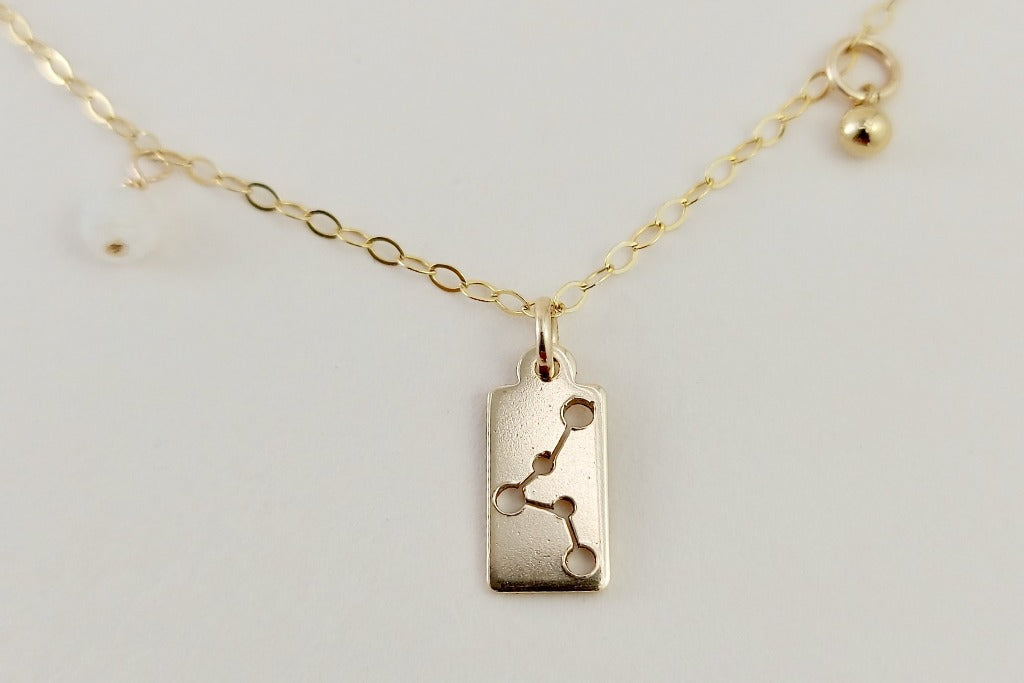 The gold pisces necklace