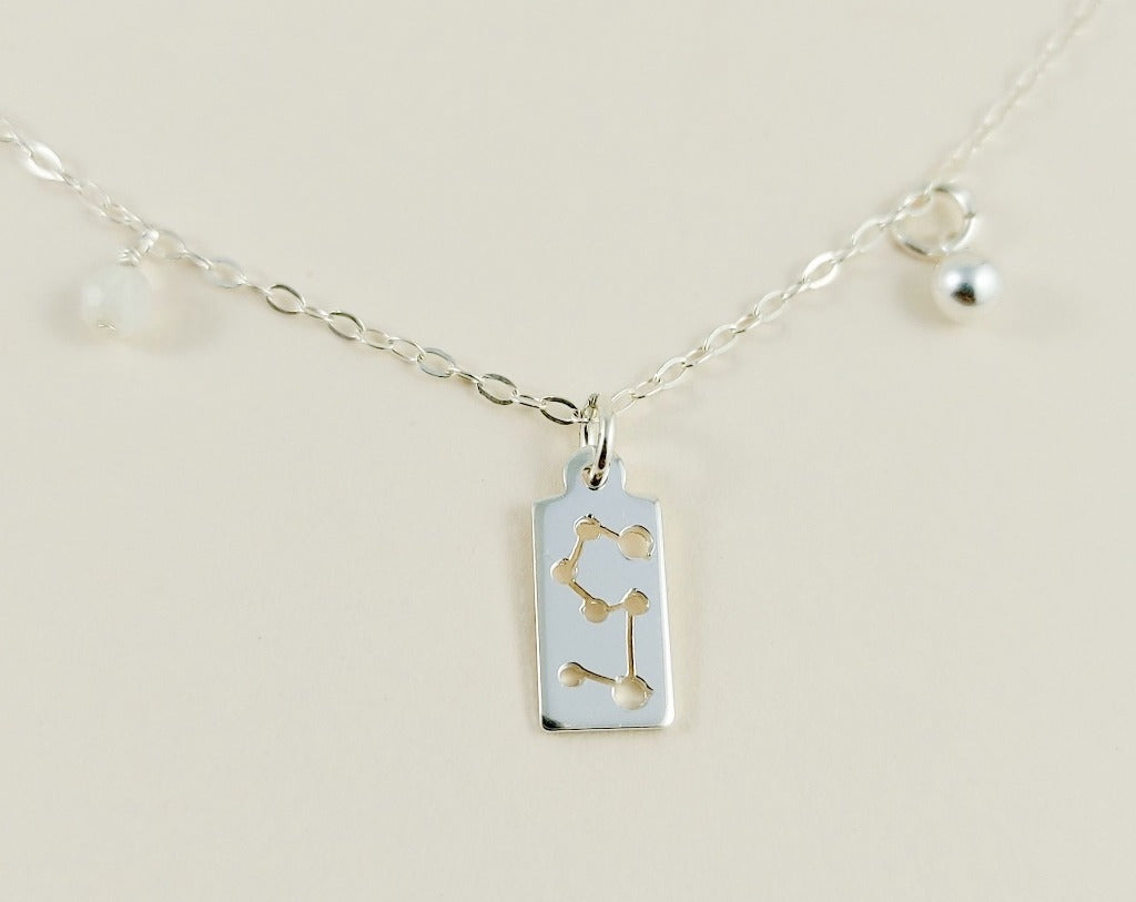 the silver leo necklace