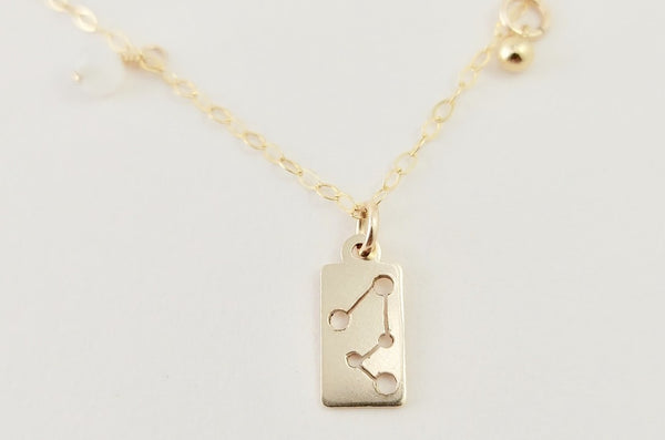 The gold capricorn necklace