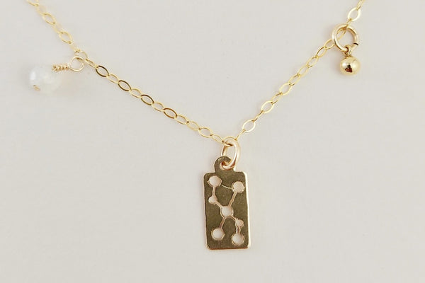 The gold taurus necklace