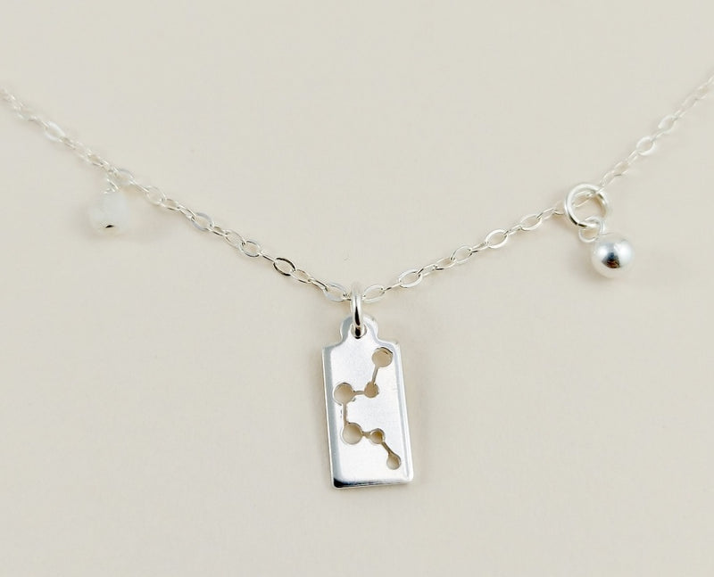 The silver aquarius necklace