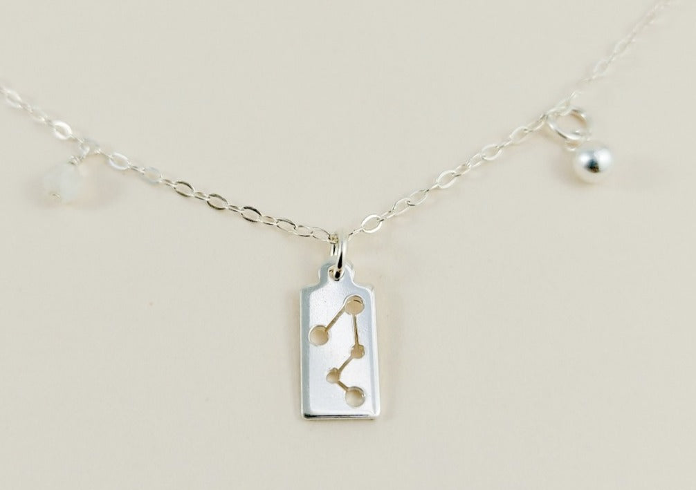 The silver capricorn necklace