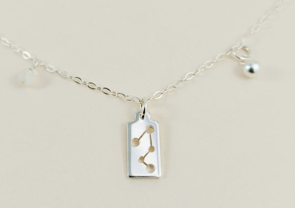 The silver capricorn necklace